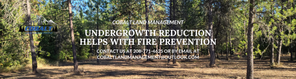 Undergrowth Reduction Service by Cobalt Land Management